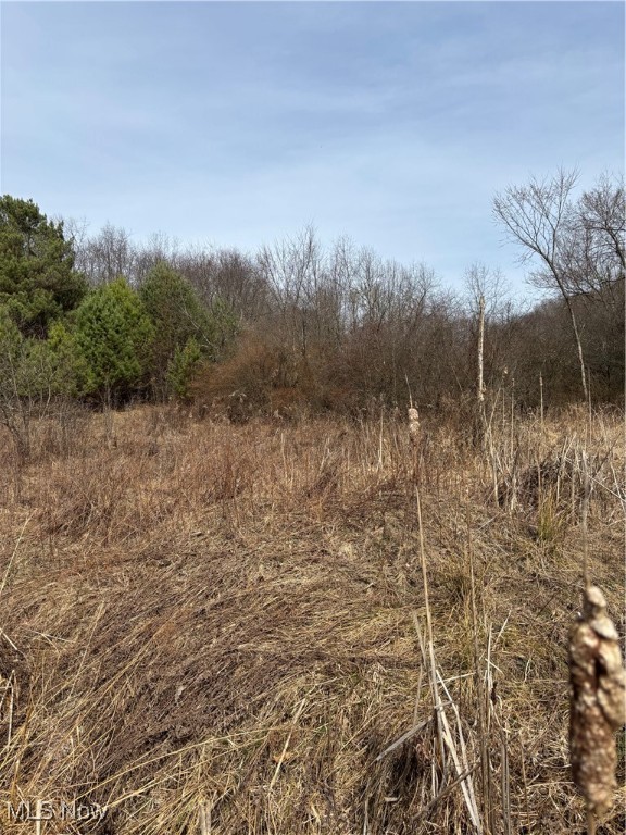 2492 Irish Ridge Road, East Liverpool, Ohio image 4