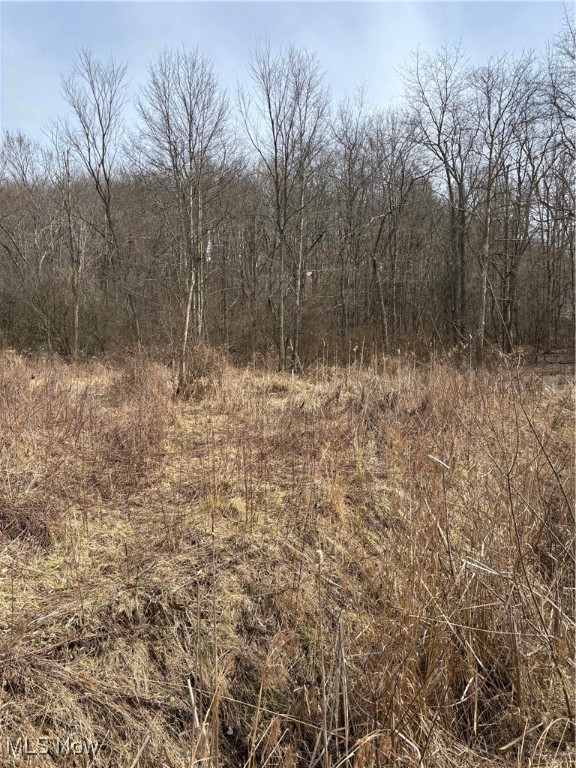 2492 Irish Ridge Road, East Liverpool, Ohio image 5