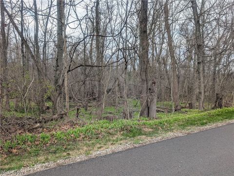 Vacant Land For Sale - High Street<br/> Perry County, Somerset, OH 43783