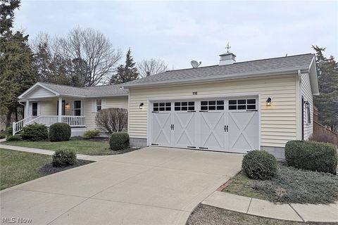 Homes For Sale - 110 Pickerel Dr<br/> Erie County, Kelleys Island, OH 43438