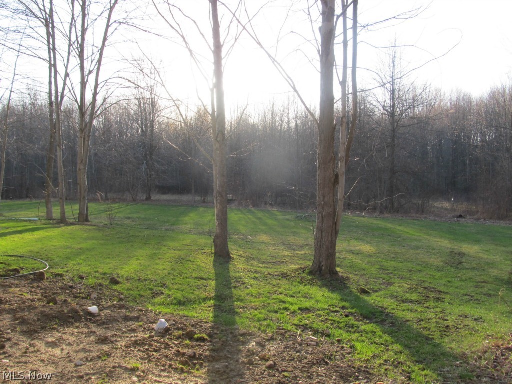 Township/Braceville Sec 25 - Residential