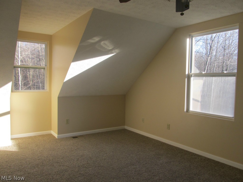 Township/Braceville Sec 25 - Residential