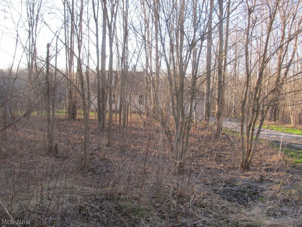 Township/Braceville Sec 25 - Residential