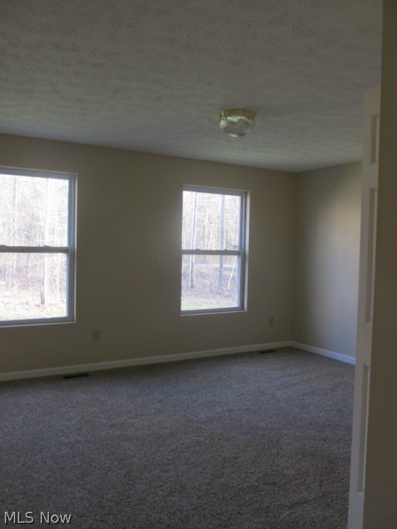 Township/Braceville Sec 25 - Residential