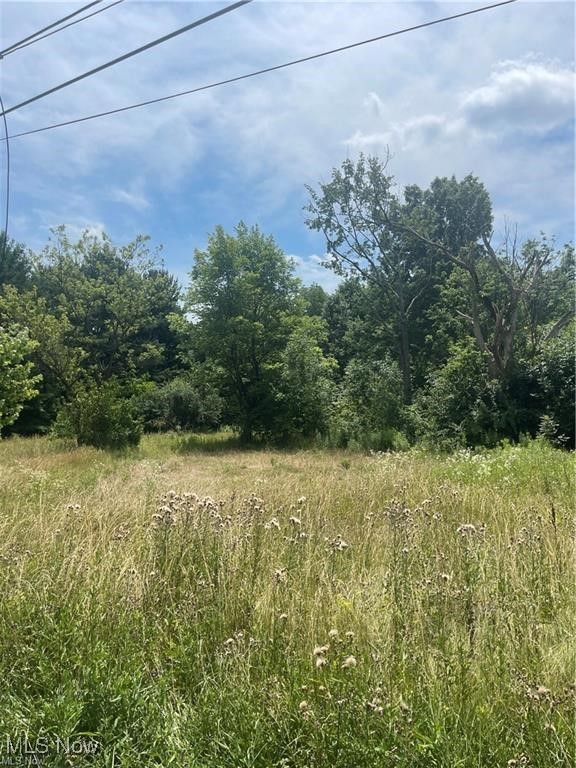 1354 Brimfield Drive, Kent, Ohio image 2