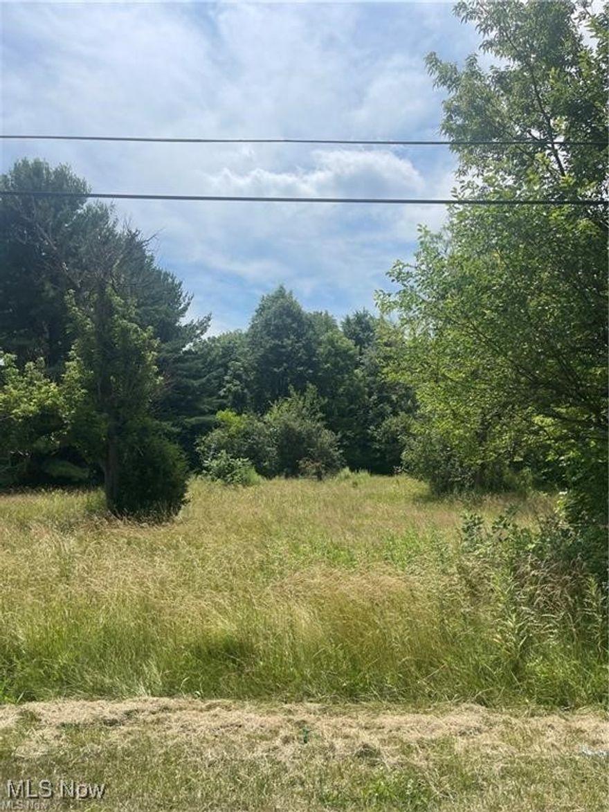 Looking for over 3 acres of land to build on in Kent? Come check out this plot of land, which is located in a prime location close to shops, dining and entertainment, recreational parks and close to KSU.  Whether you are looking to build your dream home or a multi-family home this land will suit your needs.