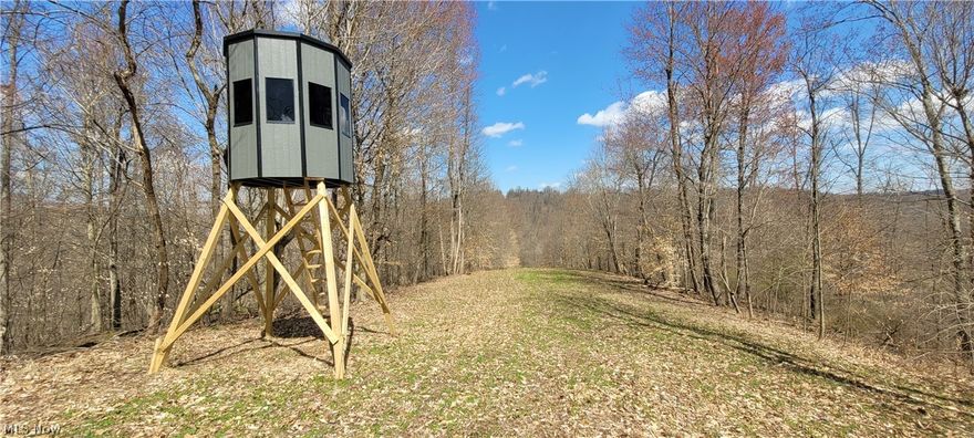 Online ONLY Auction 5/28/2024 - 51 plus acres for sale just 10 minutes from the Kimbolton exit on Interstate 77. This property is the type that will get even the most seasoned hunter excited. There is a good mix of thick cover/browse, and a large variety of terrain features that help narrow down deer travel. Top this off with a nice stand of mostly mid-sized timber including oak, poplar, walnut, and cherry. Also included in the sale are 3 brand new elevated blinds (2 sitting over planted plots), a few stands, and an insulated shed at the front of the property with firepit and picnic table, as well as electric available out along the road. Also included in the offering is a comprehensive property plan by Whitetail Habitat Designs. With a little more work this property could also be used as the site for your permanent residence. This property sells absolute with no reserve. Take a look today at your own convenience and risk.