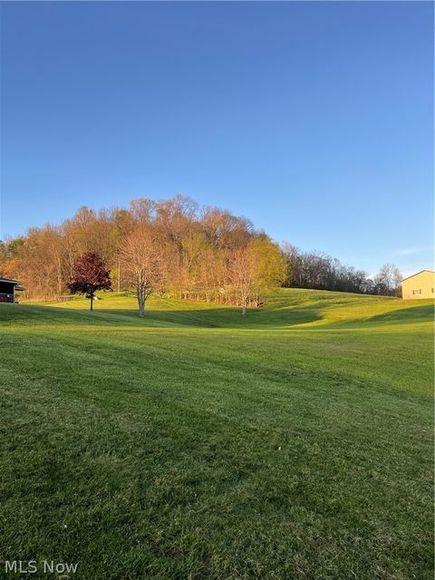 Tiny photo for 47666 Seneca Lake Road Rd, Sarahsville, OH 43779 (MLS # 5202948)