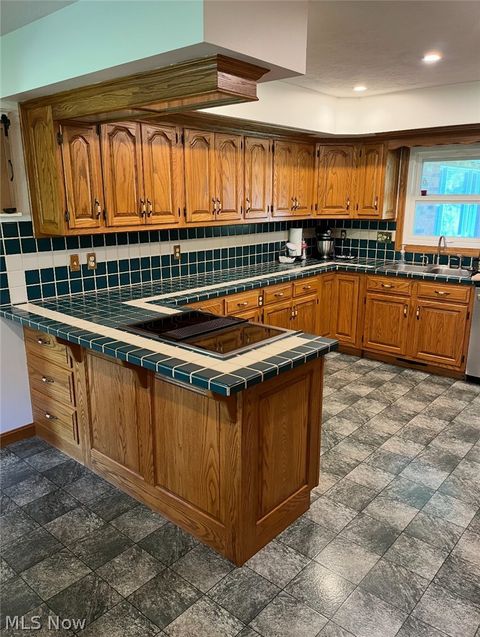 Tiny photo for 47666 Seneca Lake Road Rd, Sarahsville, OH 43779 (MLS # 5202948)