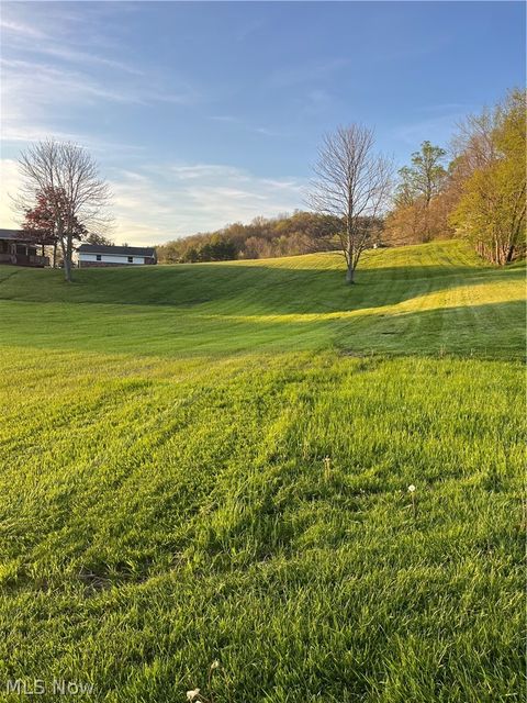 Tiny photo for 47666 Seneca Lake Road Rd, Sarahsville, OH 43779 (MLS # 5202948)