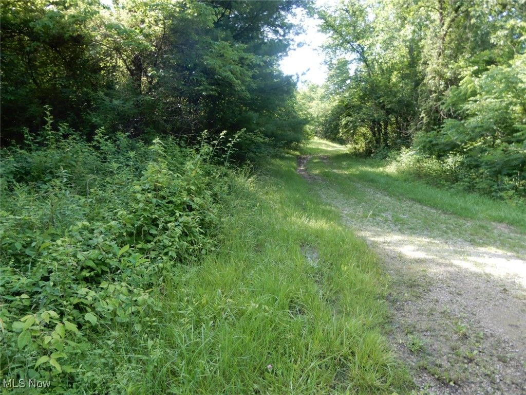 Photo of Township Rd 202, Crooksville, OH 43730 (MLS # 5178197)