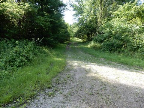 Vacant Land For Sale - Township Rd 202<br/> Perry County, Crooksville, OH 43730