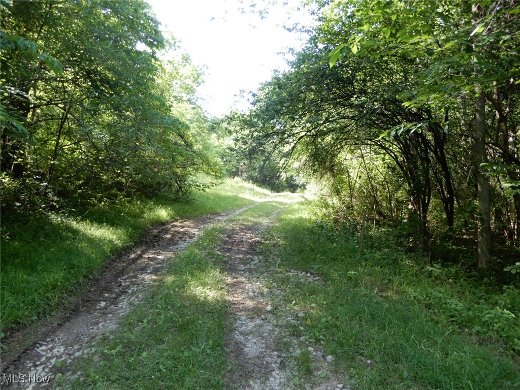 Gerald & Gloria Lemay - Land
