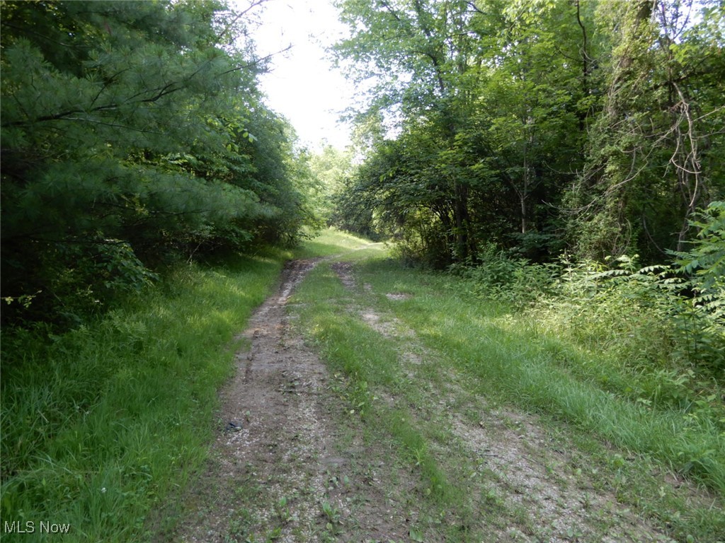 Gerald & Gloria Lemay - Land