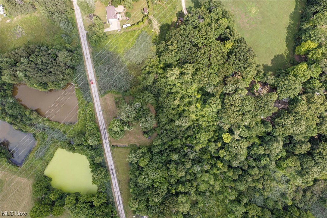 Ravenna - Residential