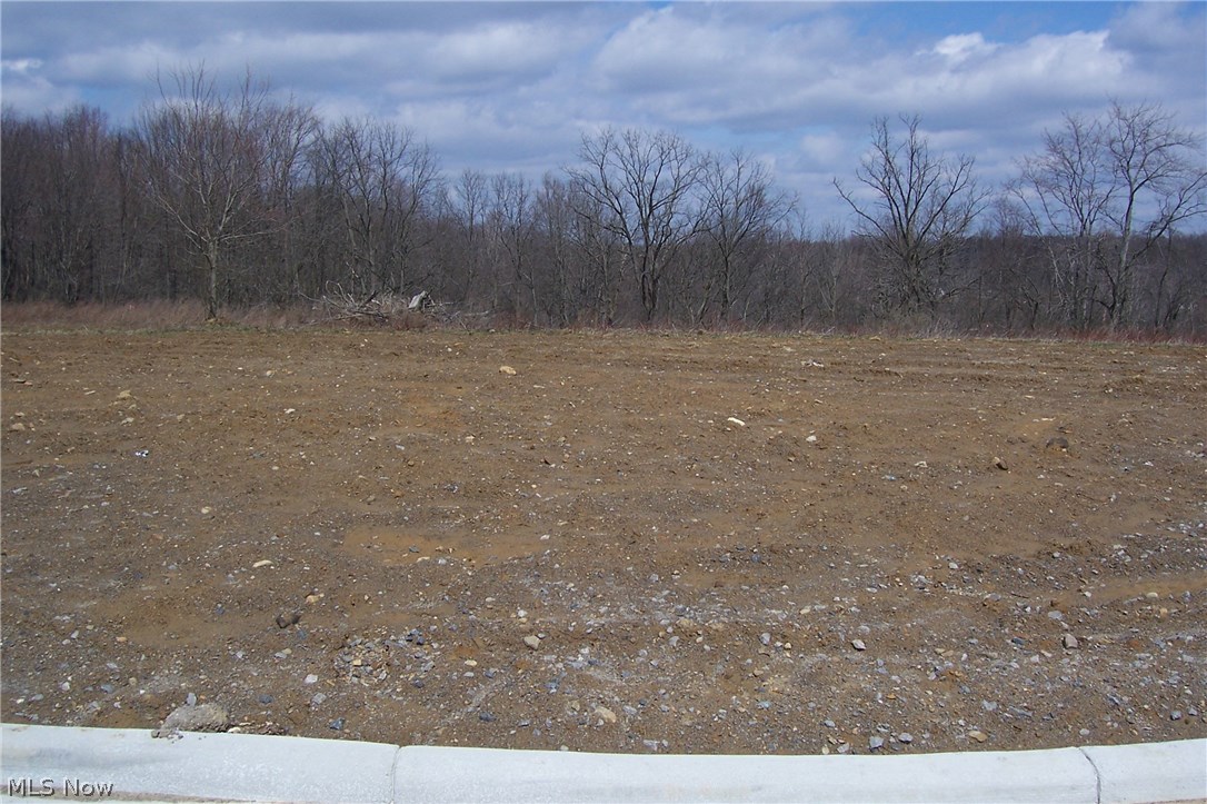 Cedar Run Development - Land