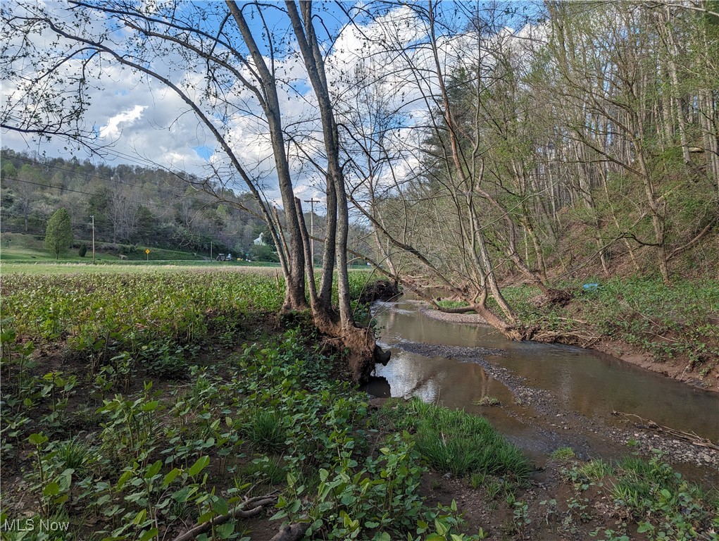 1989 Charleston Road, Spencer, West Virginia image 4