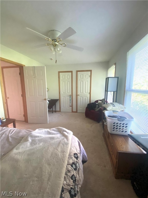 Springcreek Commons Condo - Residential