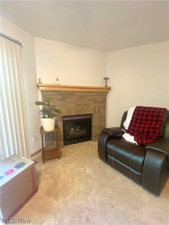 Springcreek Commons Condo - Residential