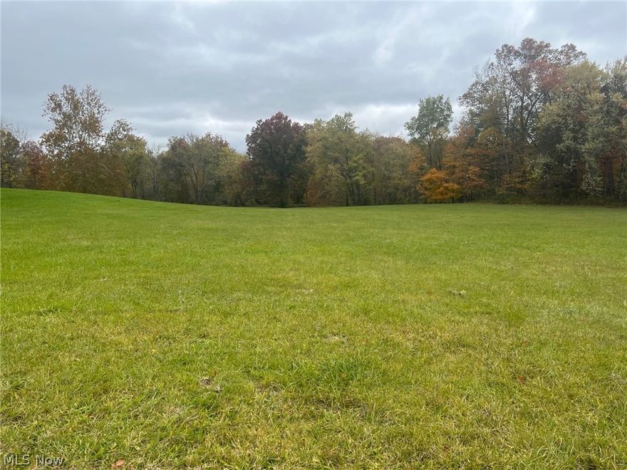If you like to fish, or if you’re looking for a quiet country lot to build your dream home on check out this beautiful rolling lot with river access. Located on Newton Falls Road in Paris Twp. this lot will be approximately 3.5 acres with approximately 350 feet of frontage. Bring your builder and build your dream house! No soil work has been completed-will be the responsibility of the buyer.