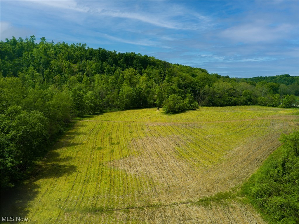 Property to be sold at online auction: Auction begins ending July 5th at 6:00 PM. Don't miss the chance to own this beautiful hunting parcel in Lowell, OH. With ATV trails, a meandering stream, and a field in the front, this parcel is ready for your "Hunters Paradise." Parcel is nearby or adjacent to this address and does not constitute a real house number. Parcel number is subject to change due to new parcels being recorded.