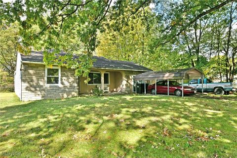 Homes For Sale - 1200 Patchen Avenue<br/> Trumbull County, Warren, OH 44484