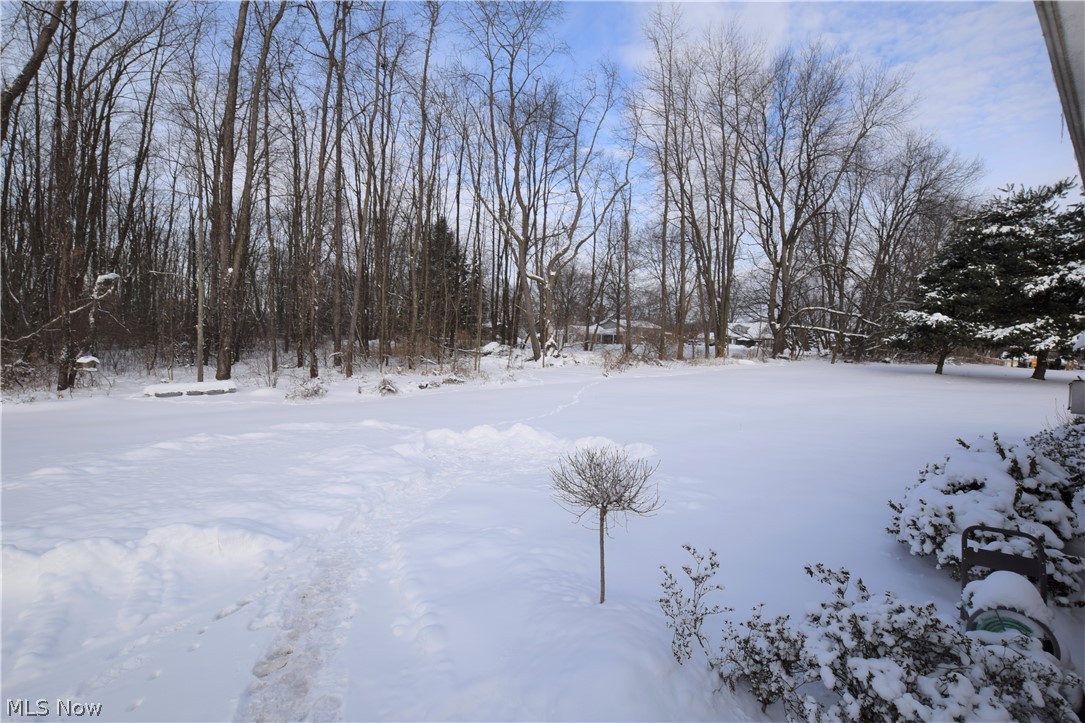 McChesney Meadows - Residential