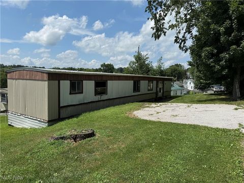 Homes For Sale - 201 Pear Street #LOT23<br/> Bethesda, OH 43719