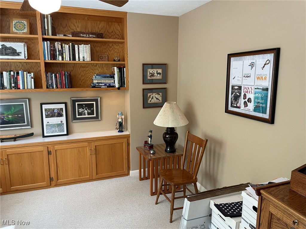5216 Lattasburg Road, Wooster, Ohio image 39