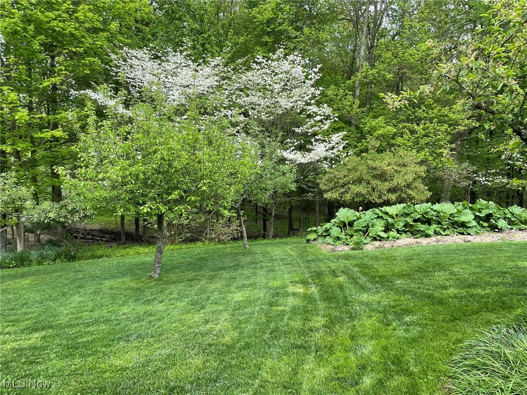 5216 Lattasburg Road, Wooster, Ohio image 50