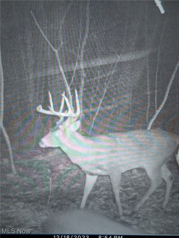 United States Military Lands - Land