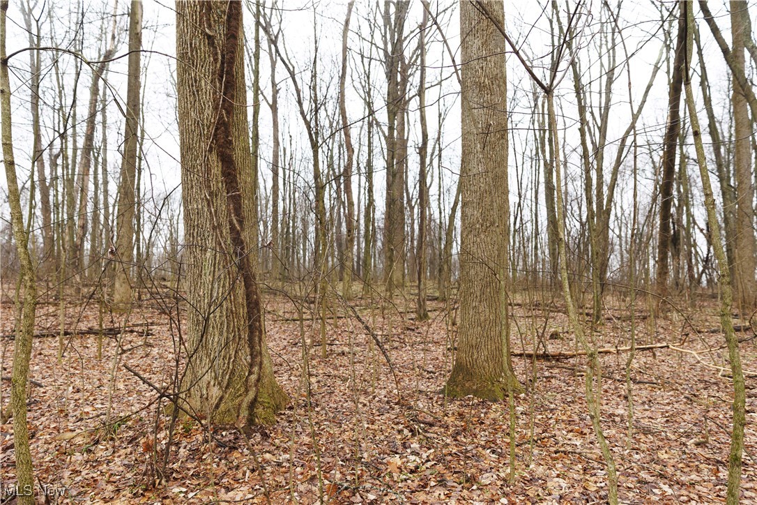 United States Military Lands - Land