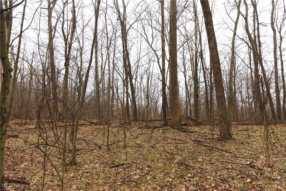 United States Military Lands - Land