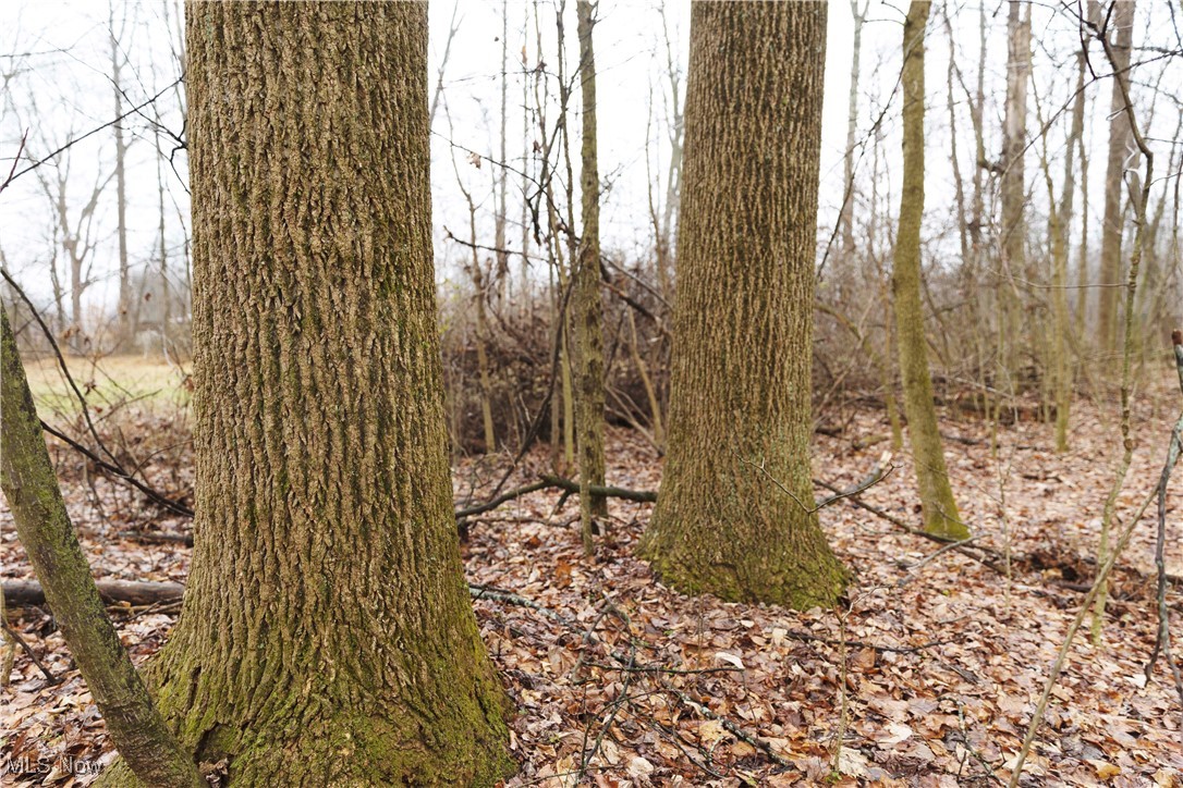 United States Military Lands - Land