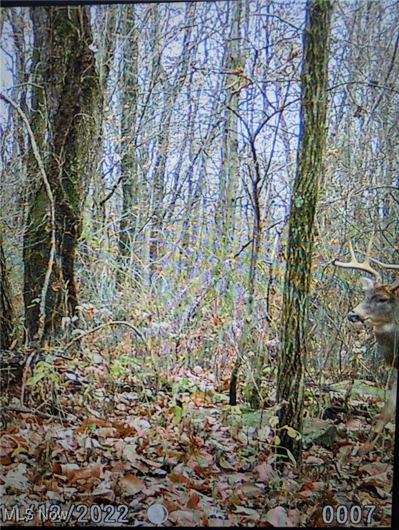 United States Military Lands - Land