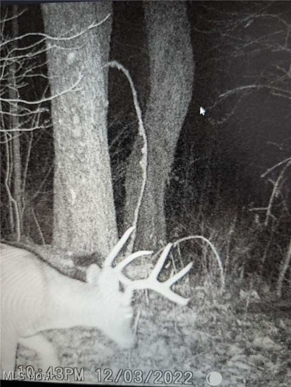 United States Military Lands - Land