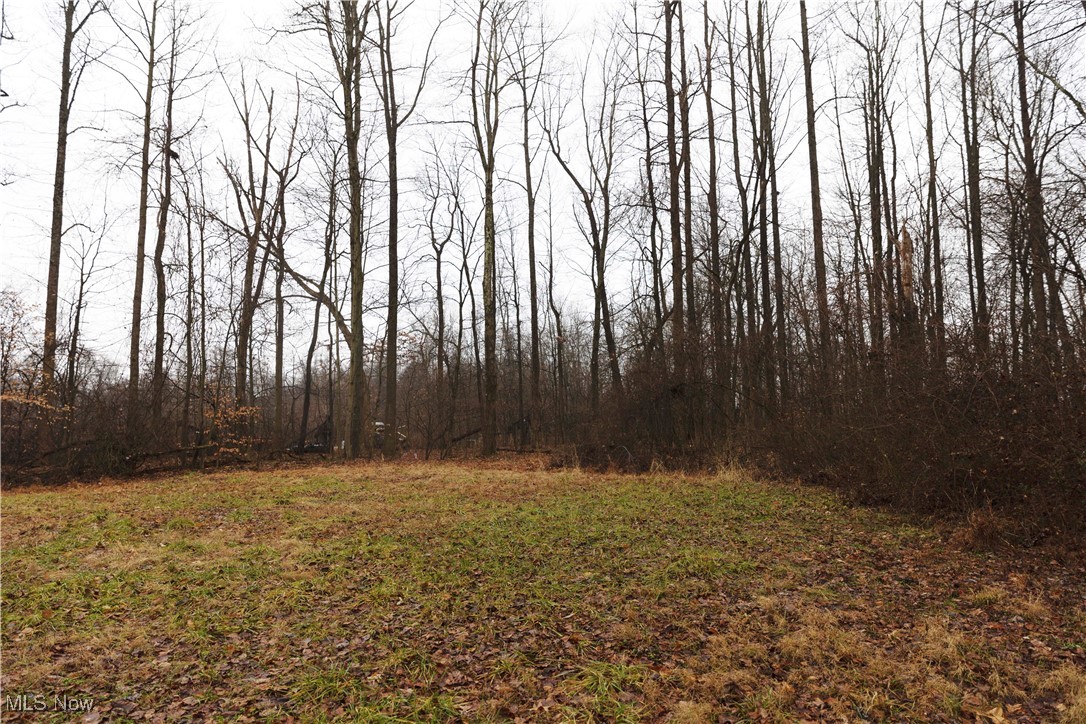 United States Military Lands - Land