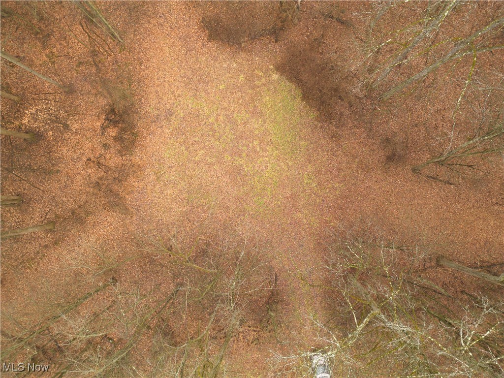 United States Military Lands - Land