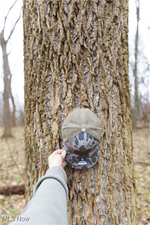 United States Military Lands - Land