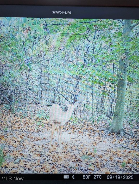 United States Military Lands - Land