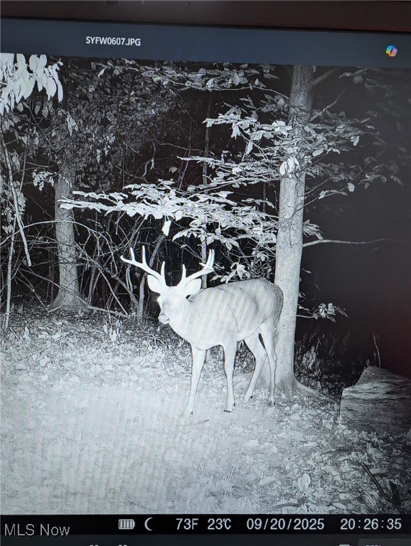 United States Military Lands - Land