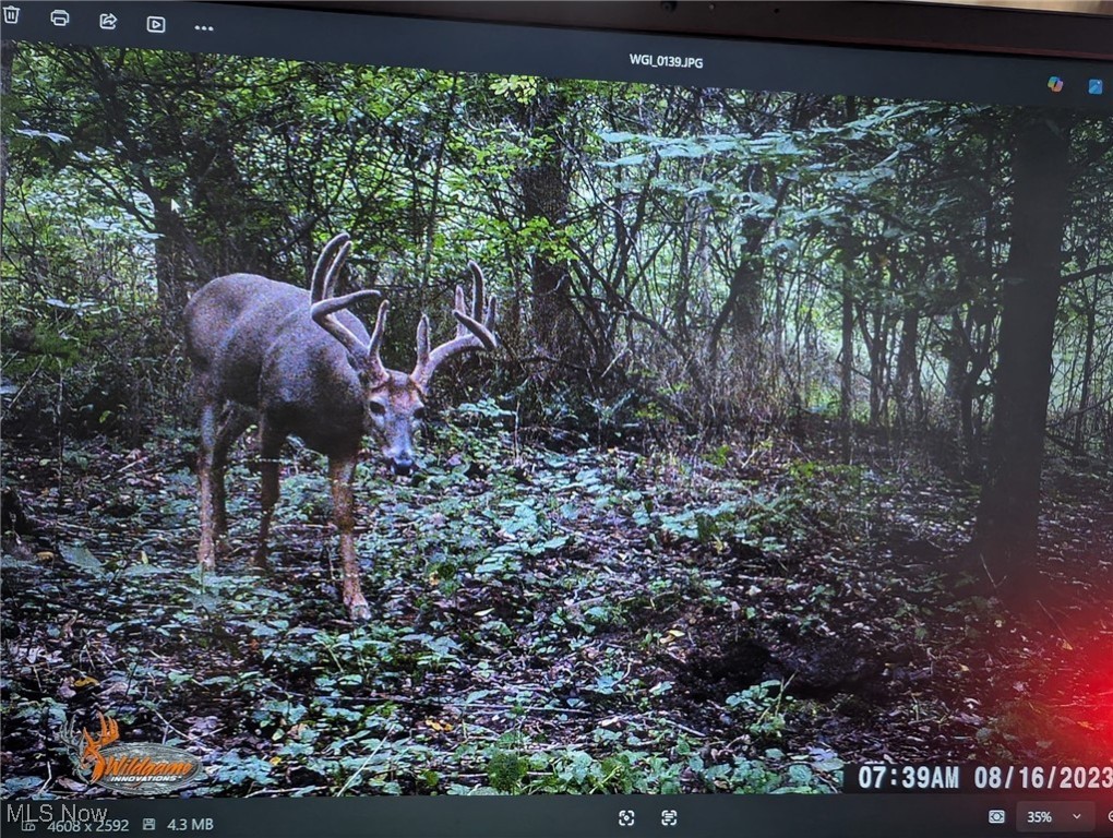 United States Military Lands - Land