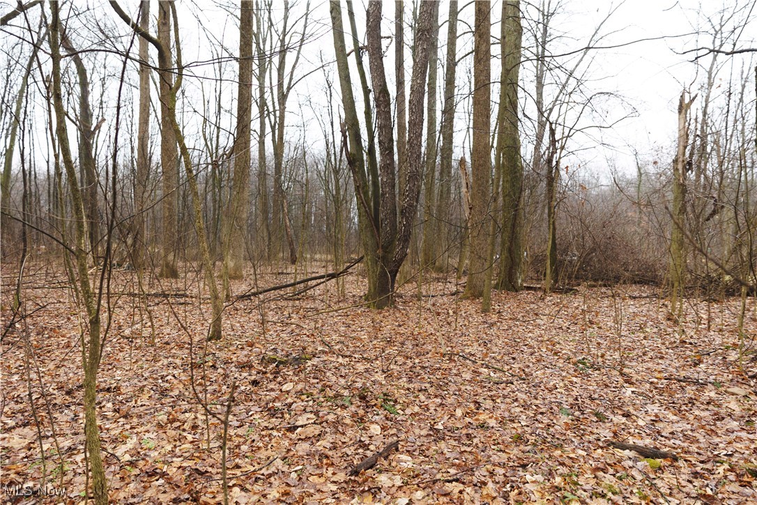 United States Military Lands - Land