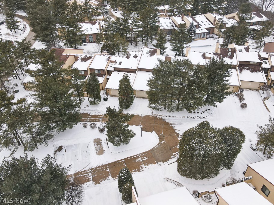 Village Brookwood Condo - Residential