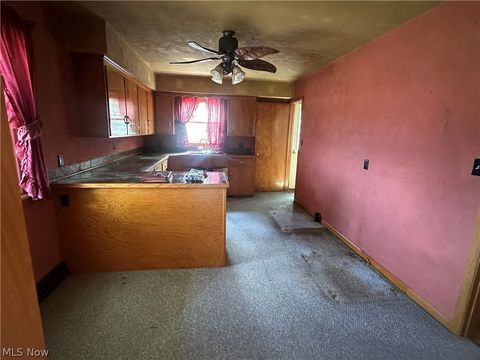 Tiny photo for 43731 Fulda Road, Caldwell, OH 43724 (MLS # 5204836)