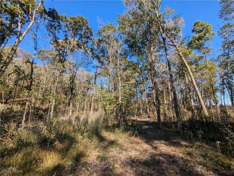 Hibbetts Mill Road Wellsville OH 43968