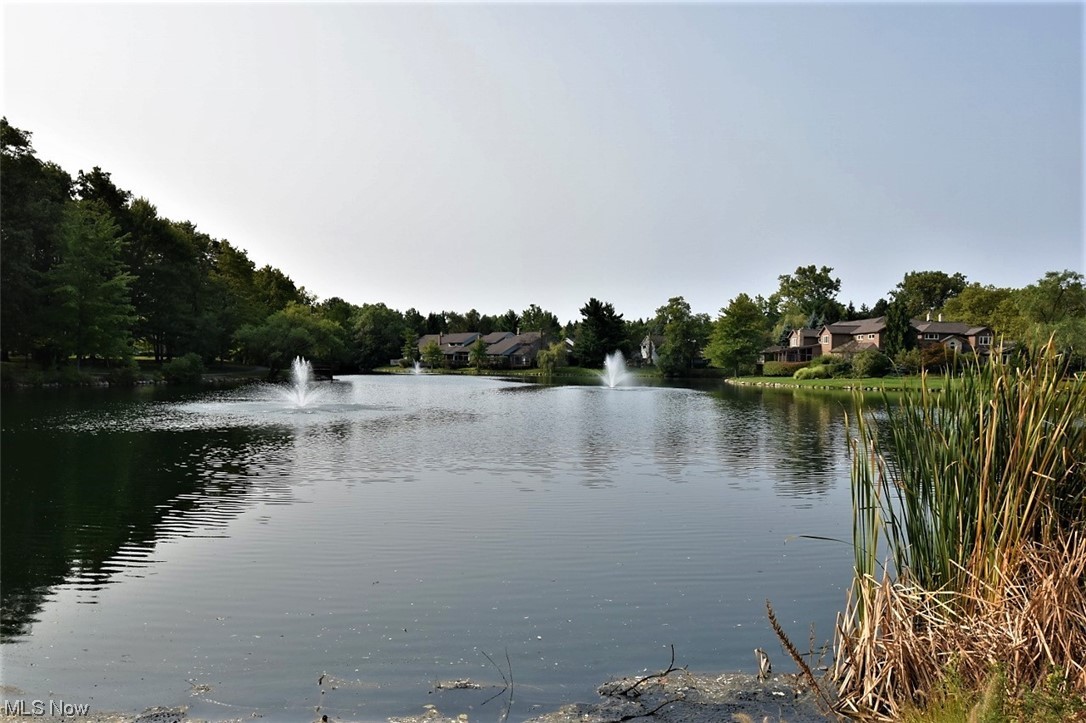 Park Dev - Residential