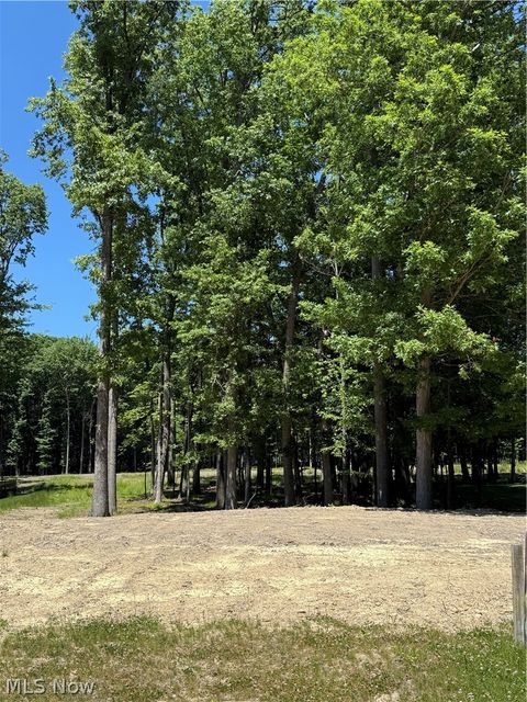 Vacant Land For Sale - 1 Ridgeview Drive<br/> Vermilion, OH 44089