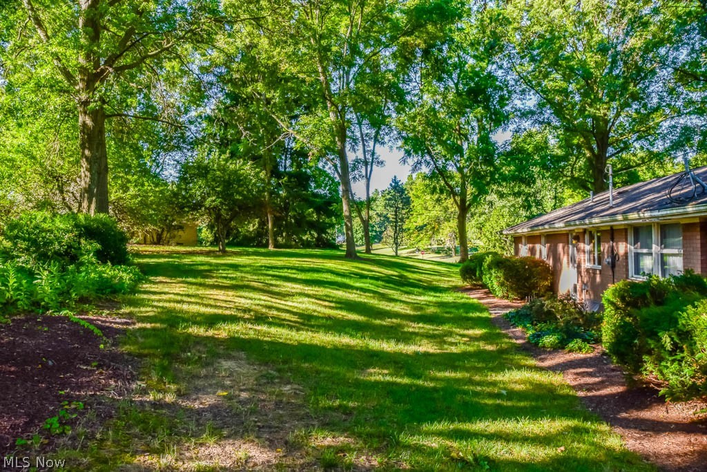 Hillfield Allotment 01 - Residential