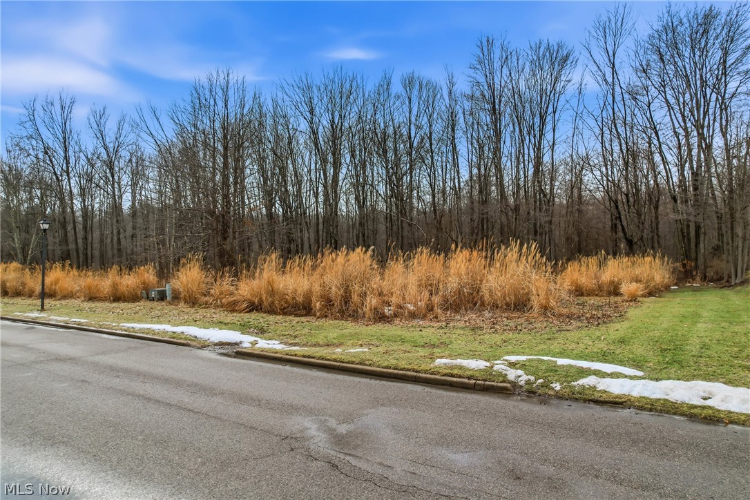 Lakeview Drive